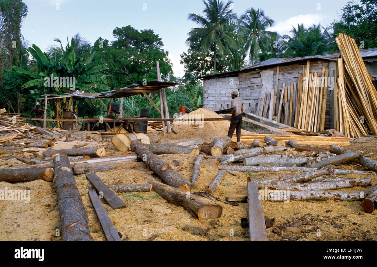 Middle Quarters Jamaica Man Working In Timber Yard Stock Photo Alamy