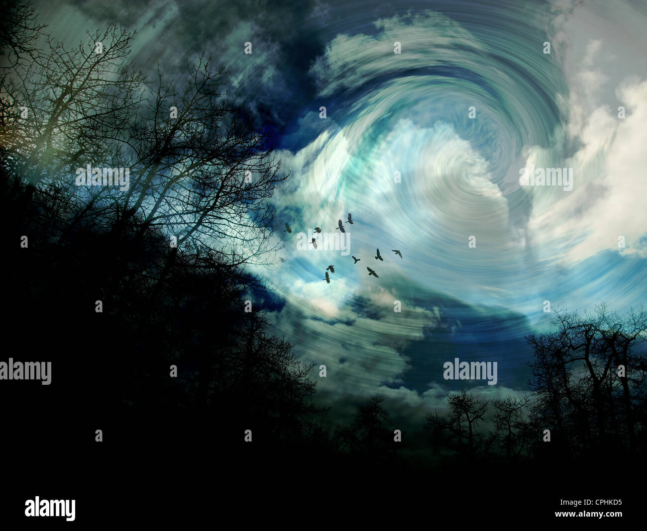 Surrealistic scene with trees, birds, and swirling clouds Stock Photo