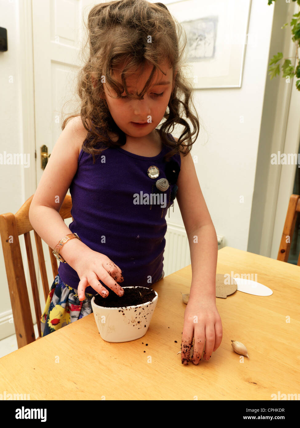 Young Girl Planting Dutch Iris Bulbs In A Pot Stock Photo Alamy