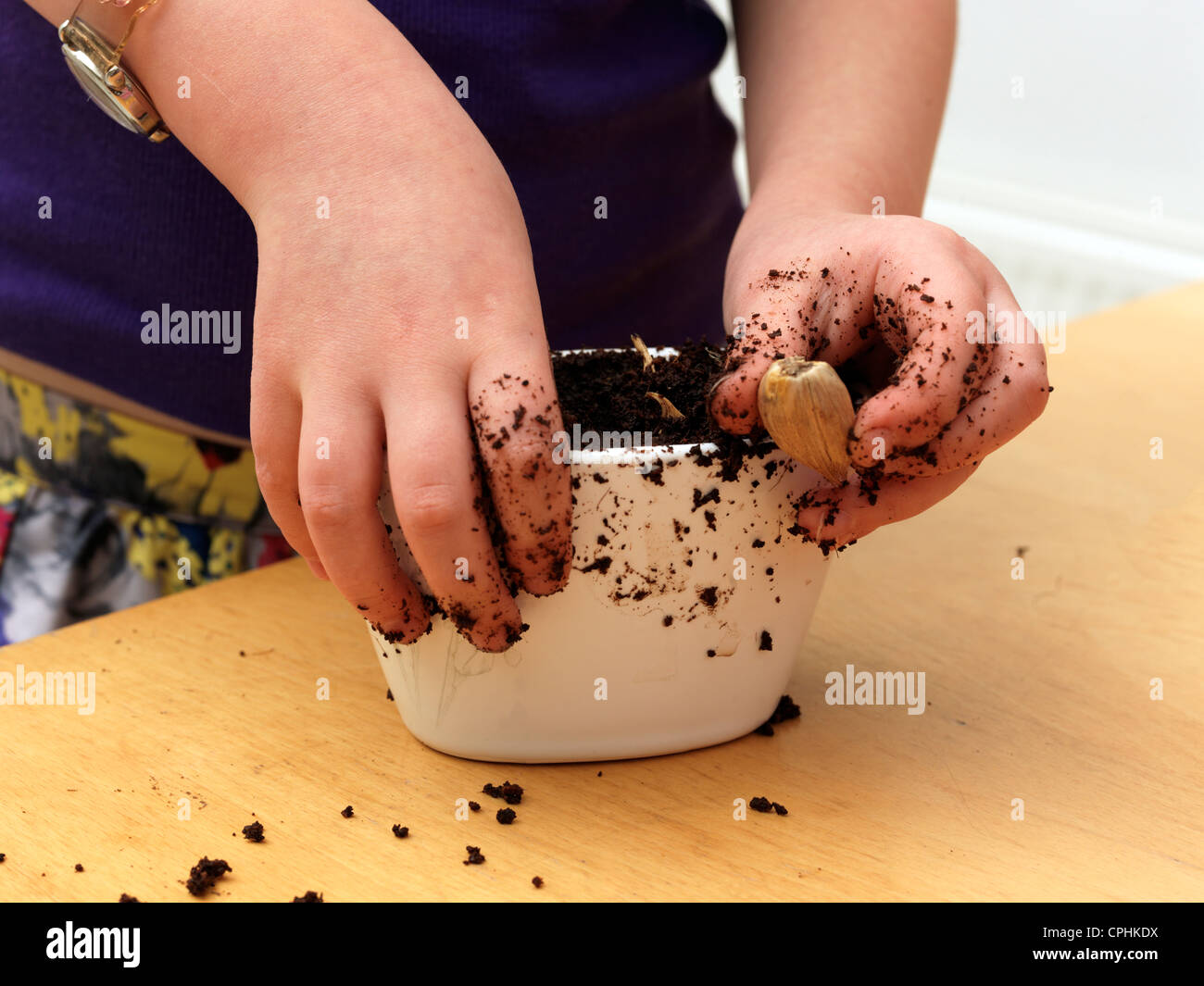 Young Girl Planting Dutch Iris Bulbs In A Pot Stock Photo Alamy