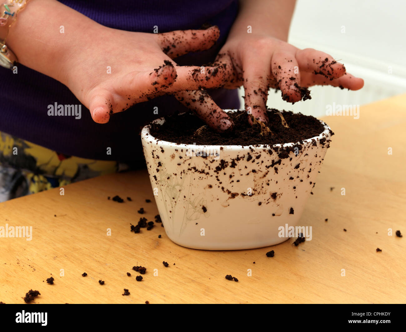 Young Girl Planting Dutch Iris Bulbs In A Pot Stock Photo Alamy