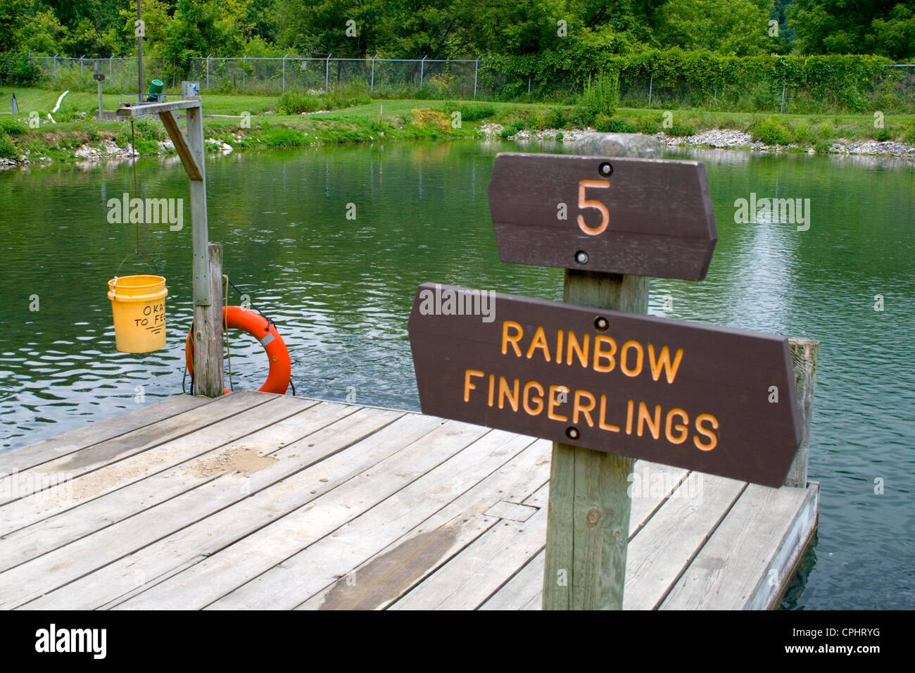 Lanesboro State Fish Hatchery for trout. Dock for observing and feeding