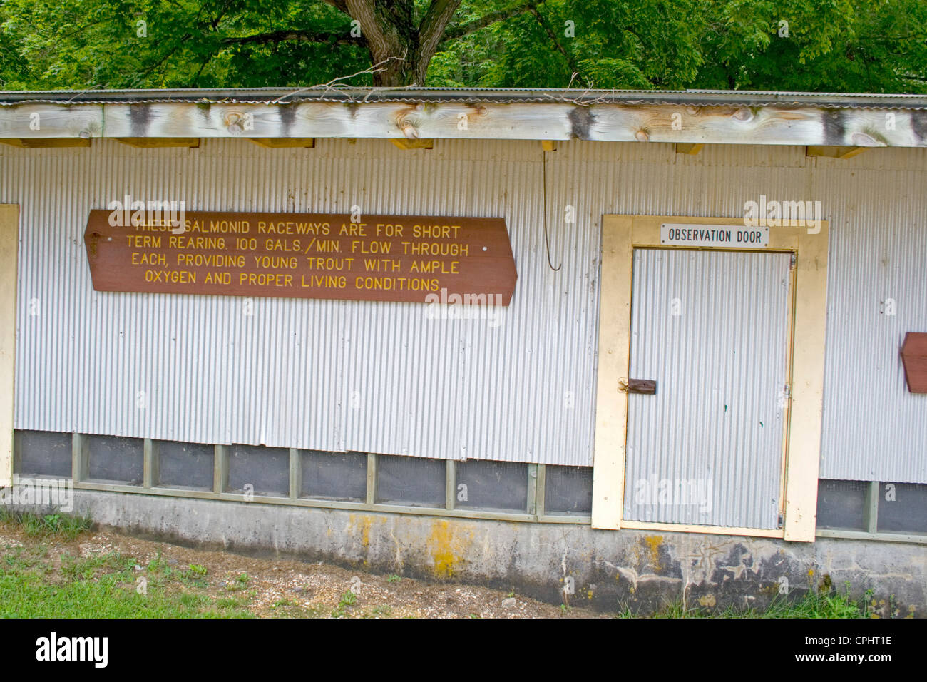 Trout hatchery hires stock photography and images Alamy