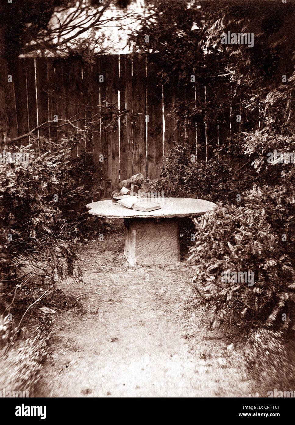 Melanchthon's favorite place in Wittenberg Stock Photo Alamy