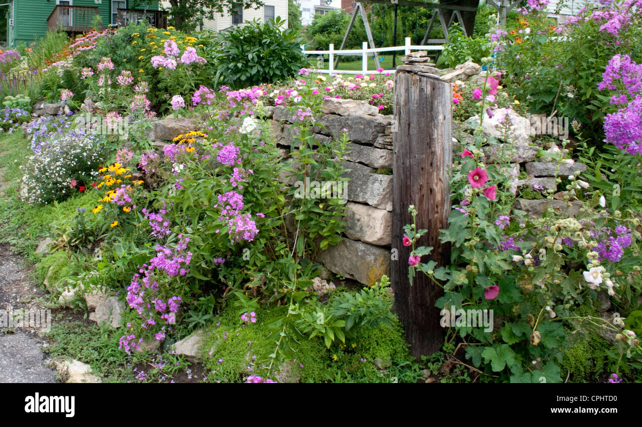 Stone wall flower garden growing hollyhocks violet phlox yellow daisies