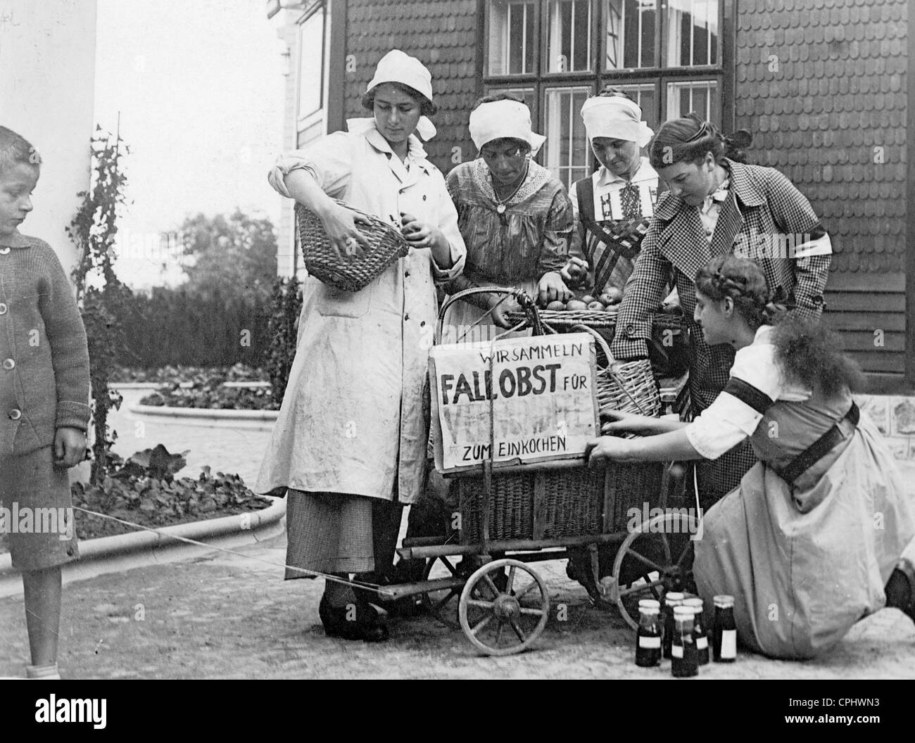 Putting fallen fruit to use in the First World War, 1914 Stock Photo