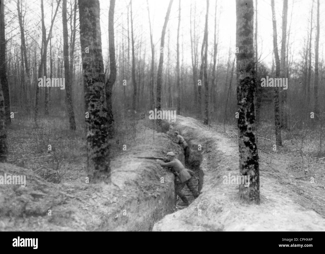 Trenches in the Argonne, 1915 Stock Photo