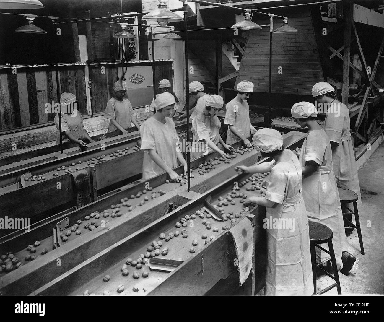 Workers while sorting walnuts, 1926 Stock Photo Alamy
