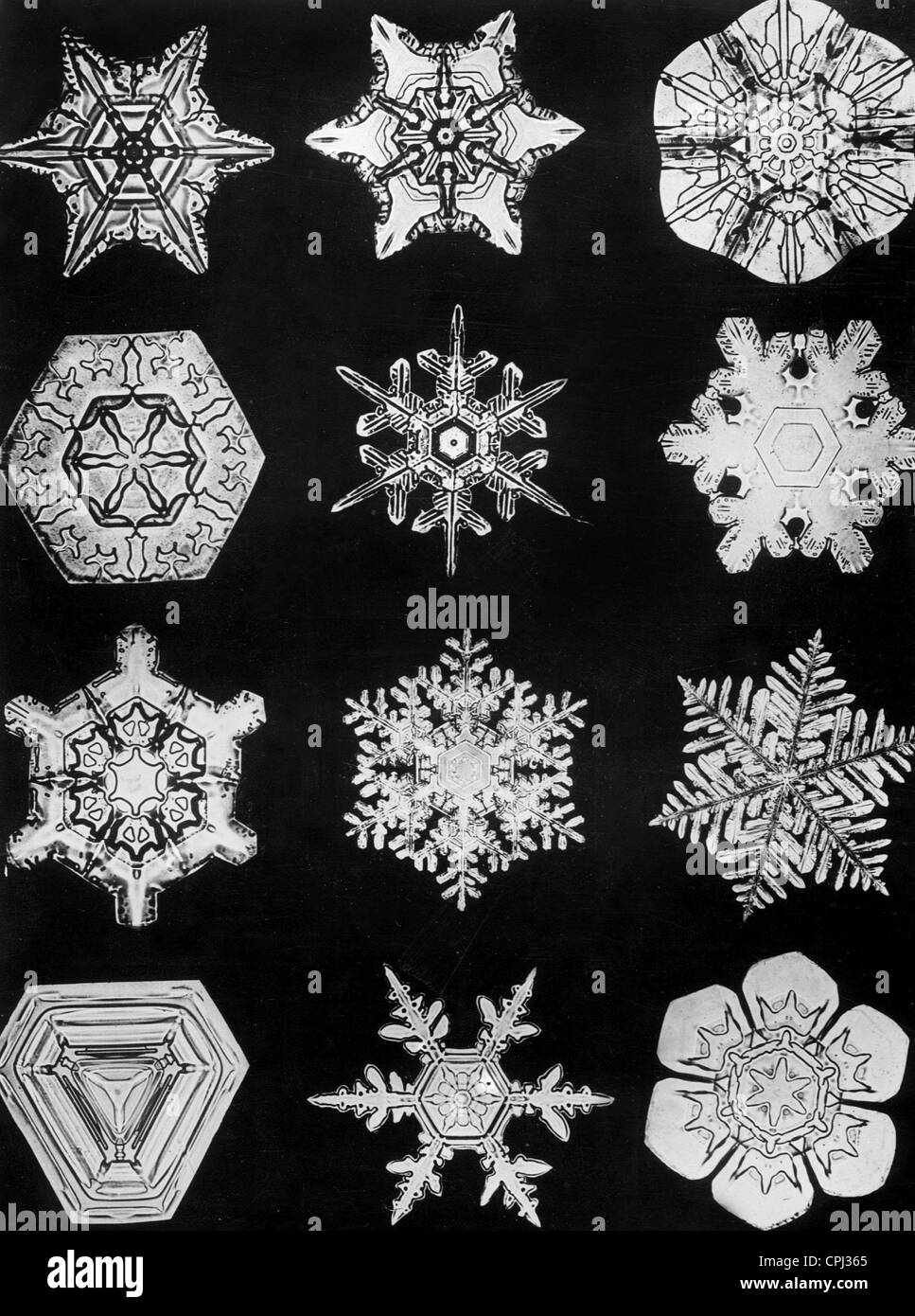 Ice crystals, 1942 Stock Photo Alamy