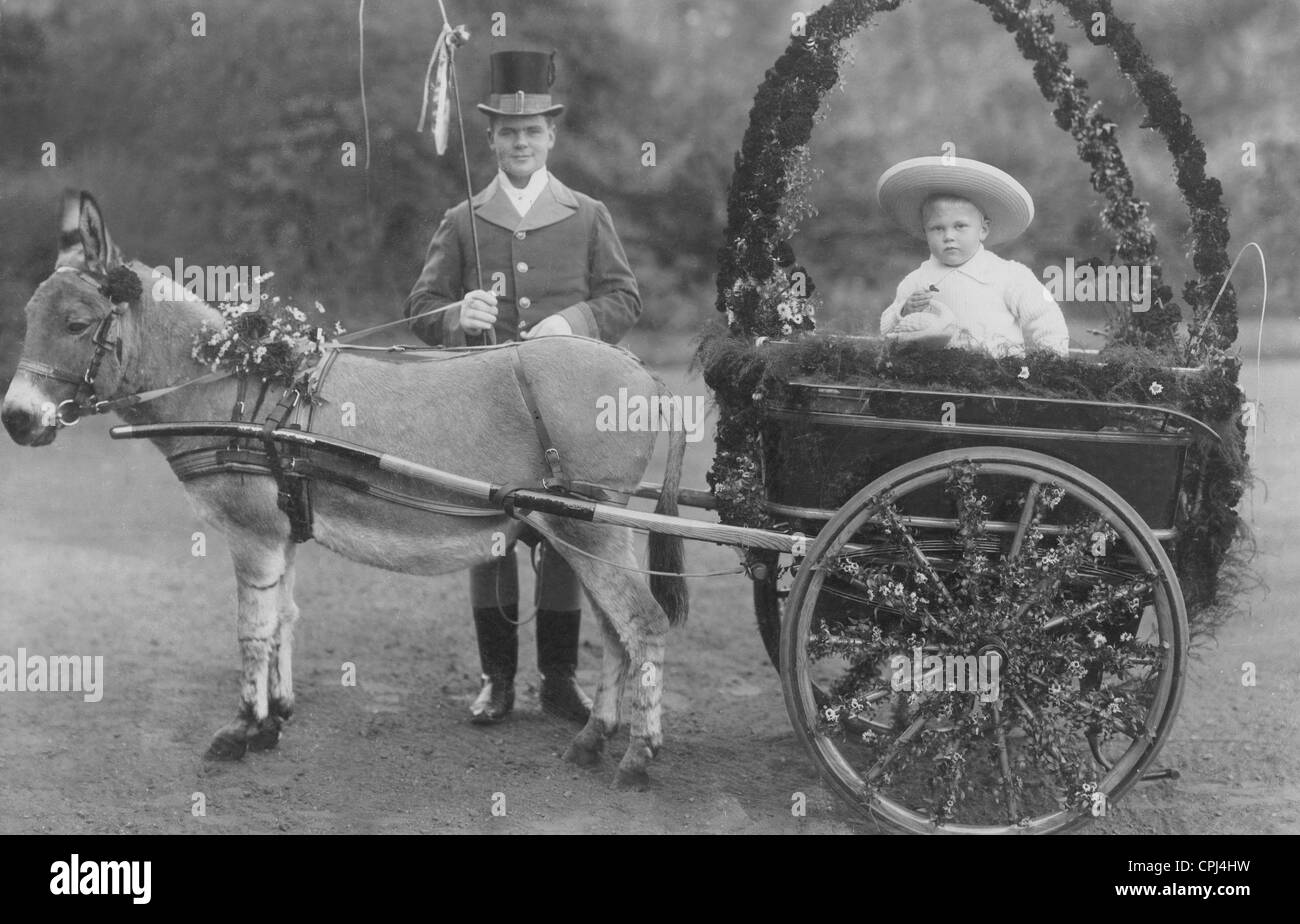 Friedrich Franz of Mecklenburg-Schwerin in a donkey cart, 1912 Stock Photo