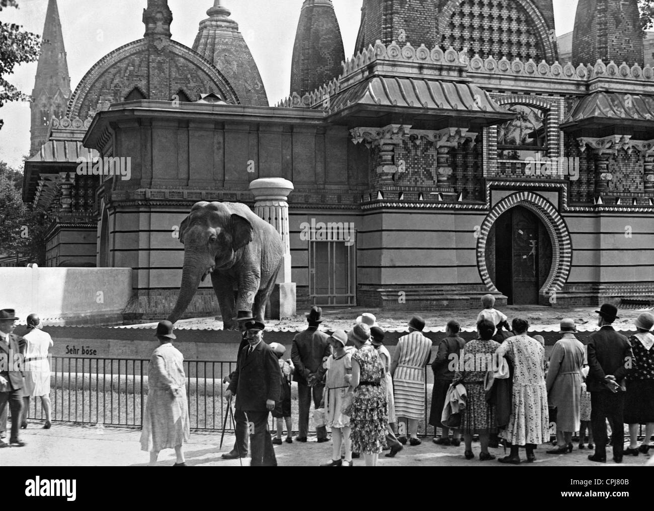 An elephant in the Berlin Zoological Garden, 1930 Stock Photo