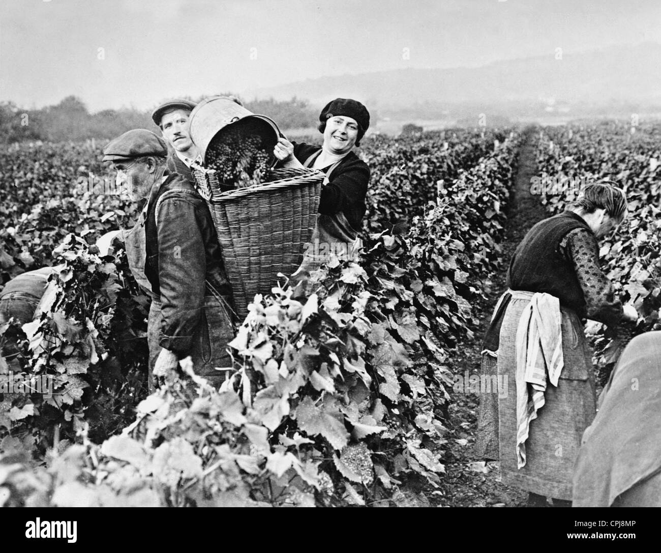 Vintage near Paris, 1930 Stock Photo