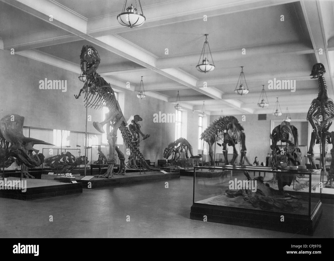 Dinosaurs in the Natural History Museum in New York, 1927 Stock Photo