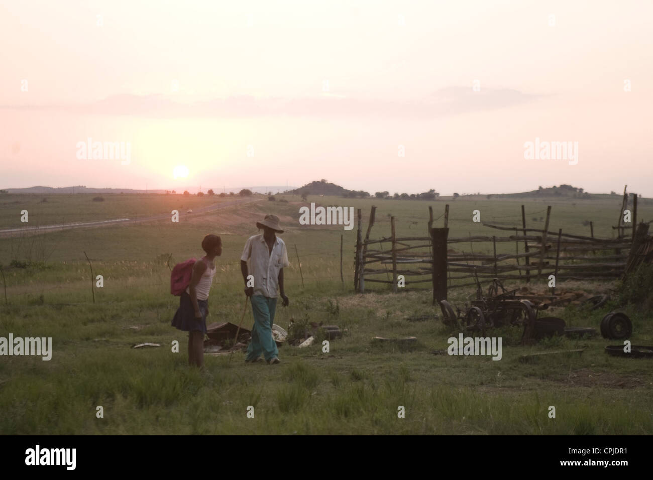 Life above all Stock Photo Alamy