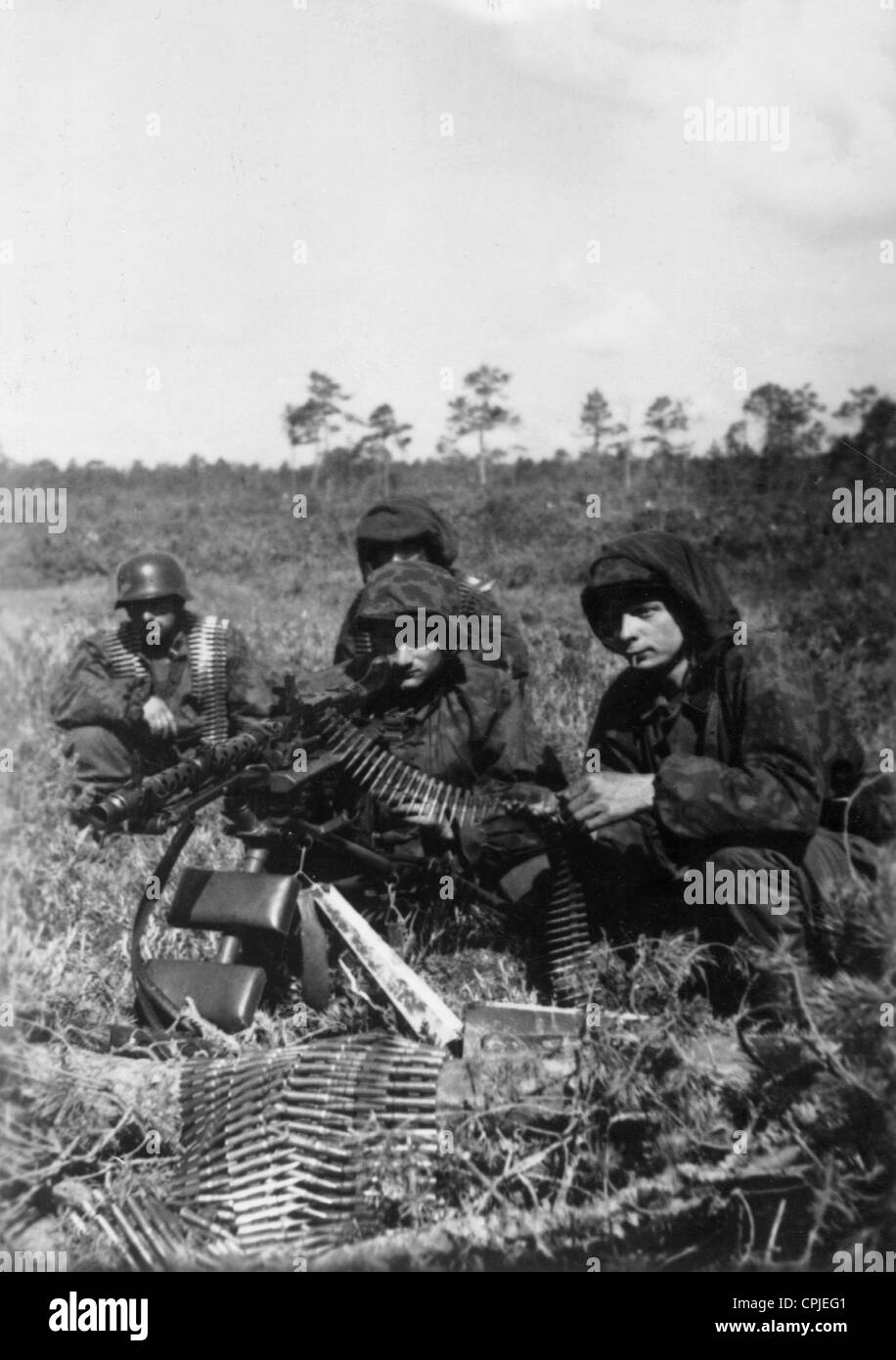 Flemish soldiers of the Waffen-SS on the Eastern Front, 1941 Stock Photo