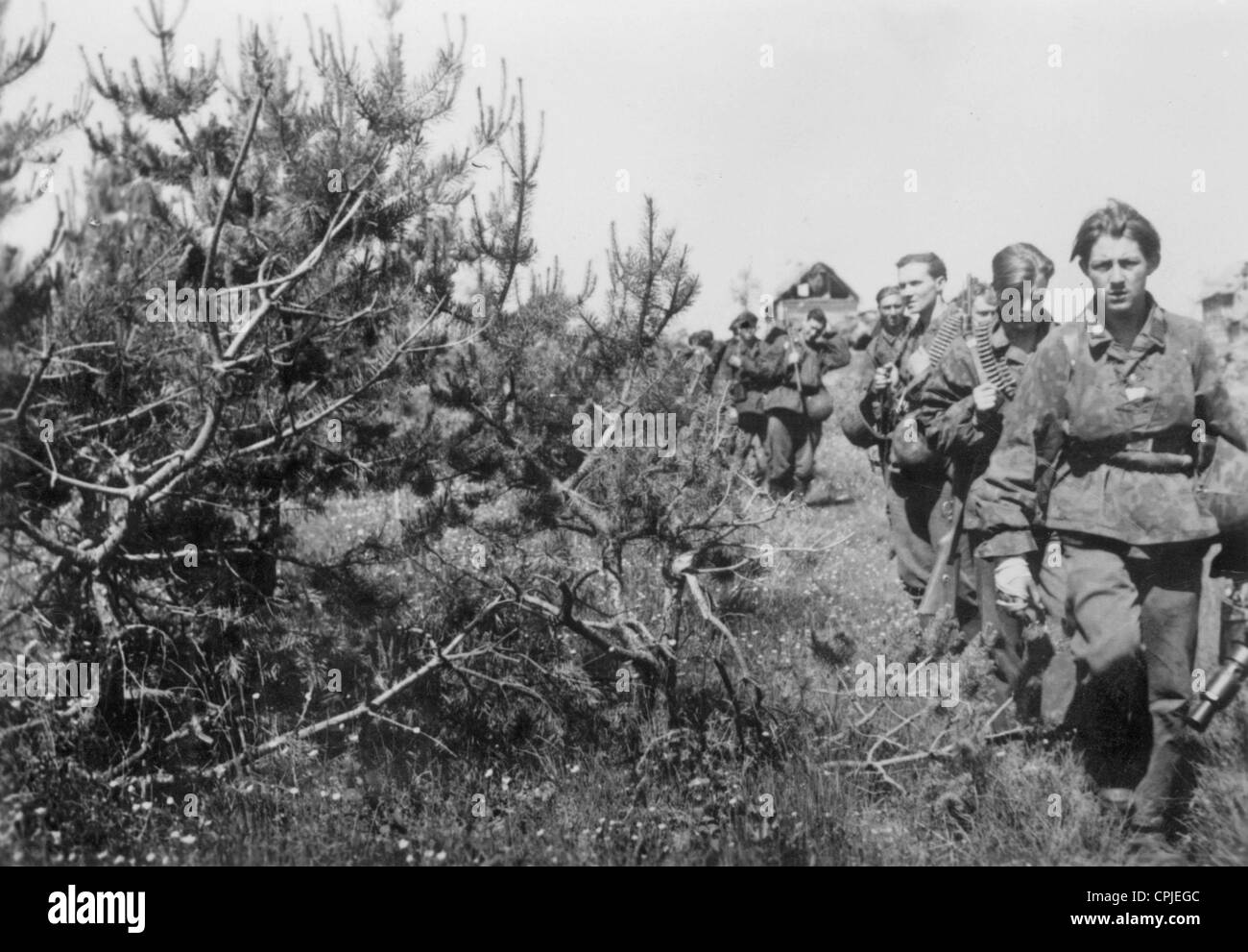 Flemish soldiers of the Waffen-SS on the Eastern Front, 1942 Stock Photo