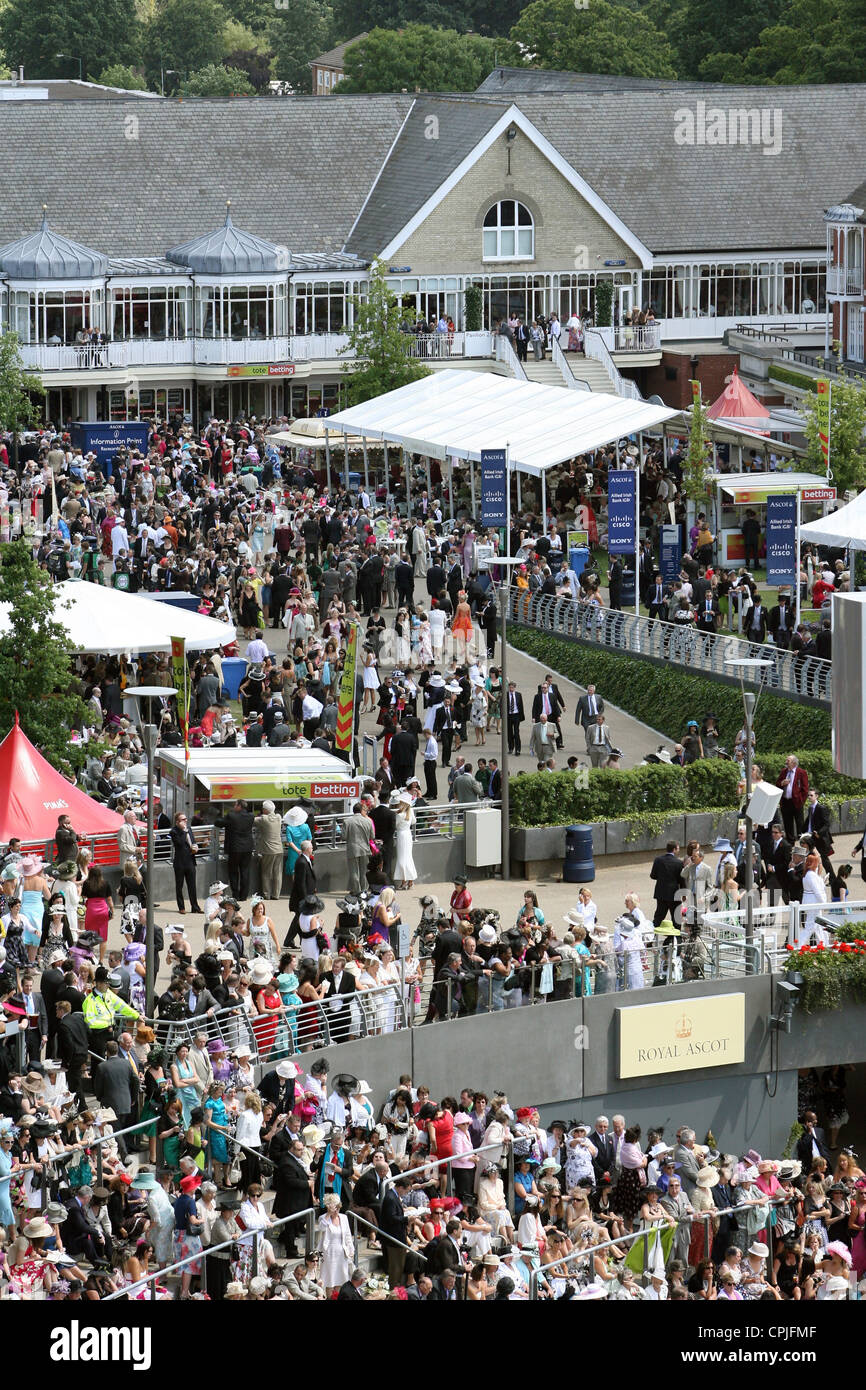 View of the horse race track, Ascot, UK Stock Photo