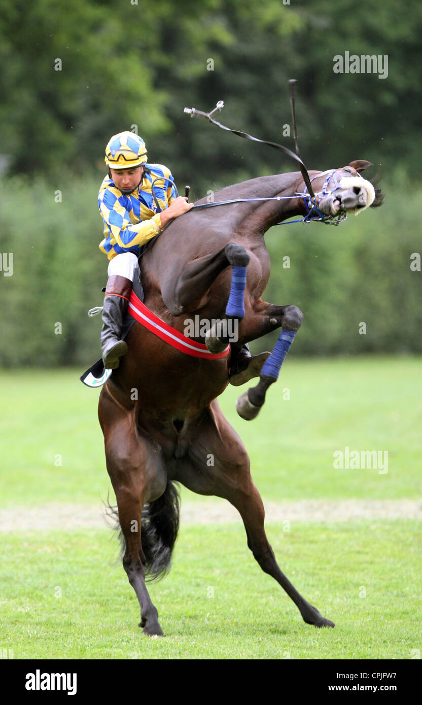 A horse rearing up, trying to throw off its jockey, Leipzig, Germany Stock Photo