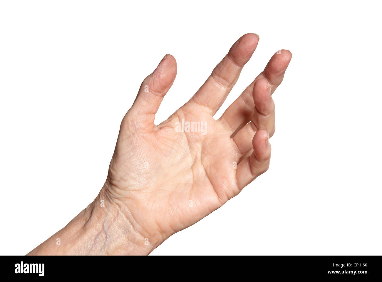 Female hand palm Cut Out Stock Images & Pictures - Alamy