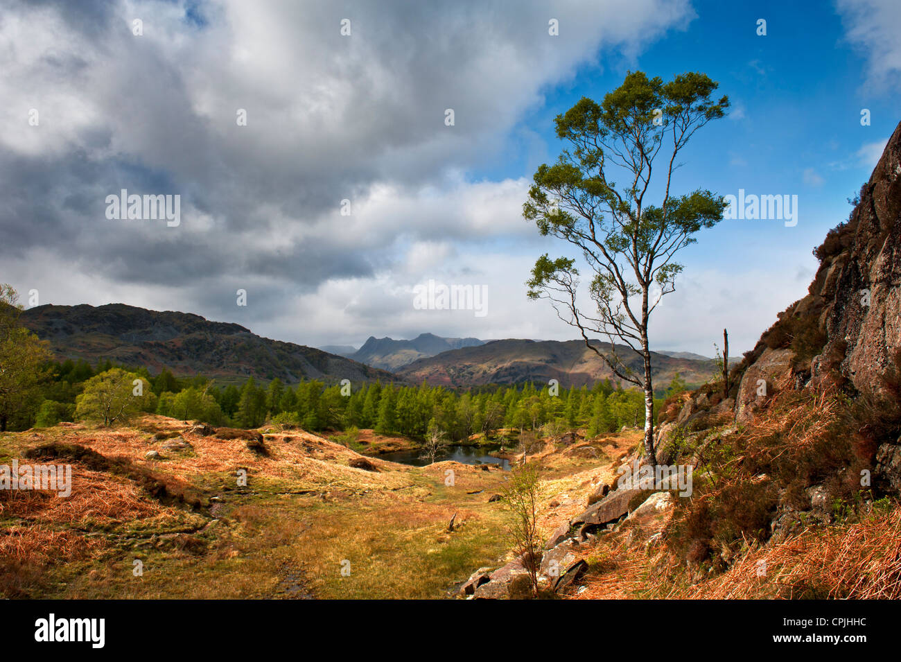 A view of the Langdale Pikes from Holme Fell in Cumbria Stock Photo