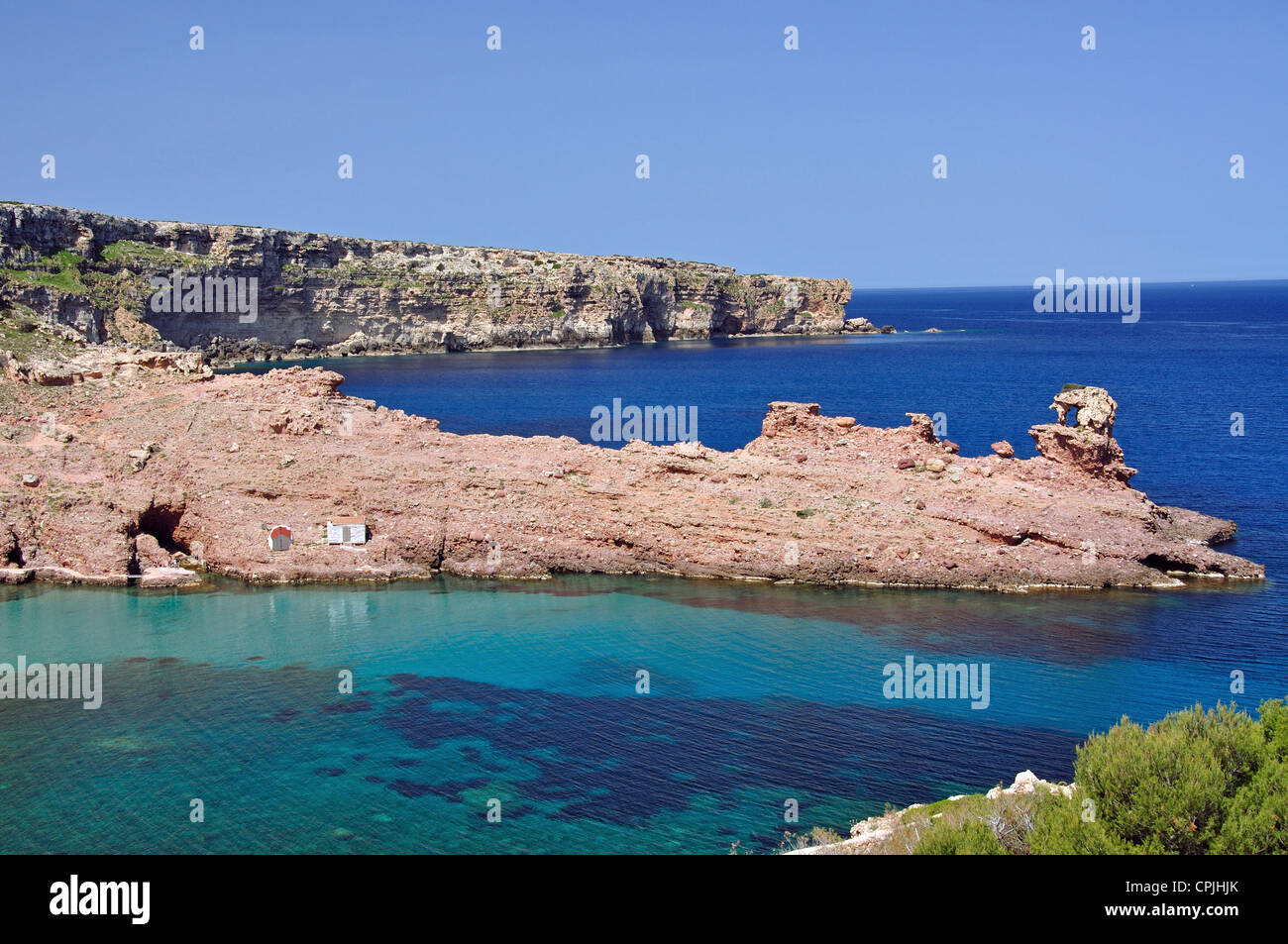 Morell High Resolution Stock Photography And Images Alamy Morell High Resolution Stock Photography And Images Alamy