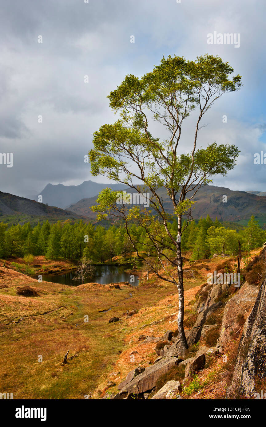 A view of the Langdale Pikes from Holme Fell in Cumbria Stock Photo