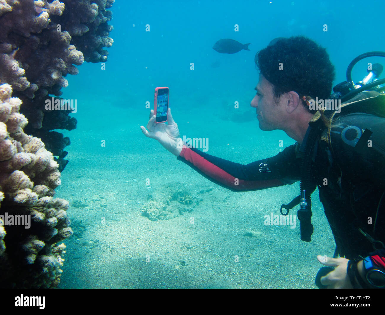 SCUBA diver using smartphone (Iphone) underwater Stock Photo Alamy