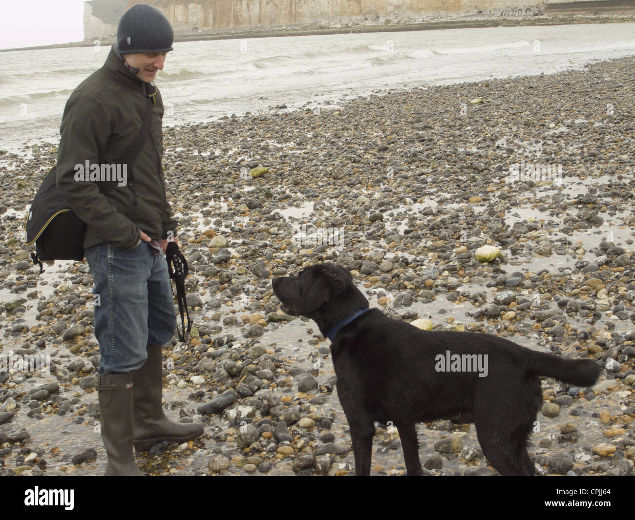 Man walking with a black Labrador on the beach Stock Photo