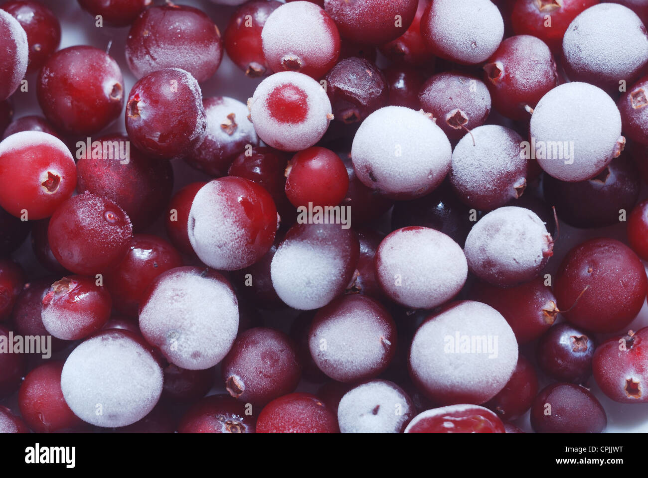 red frozen cranberries full frame, background, horizontal Stock Photo