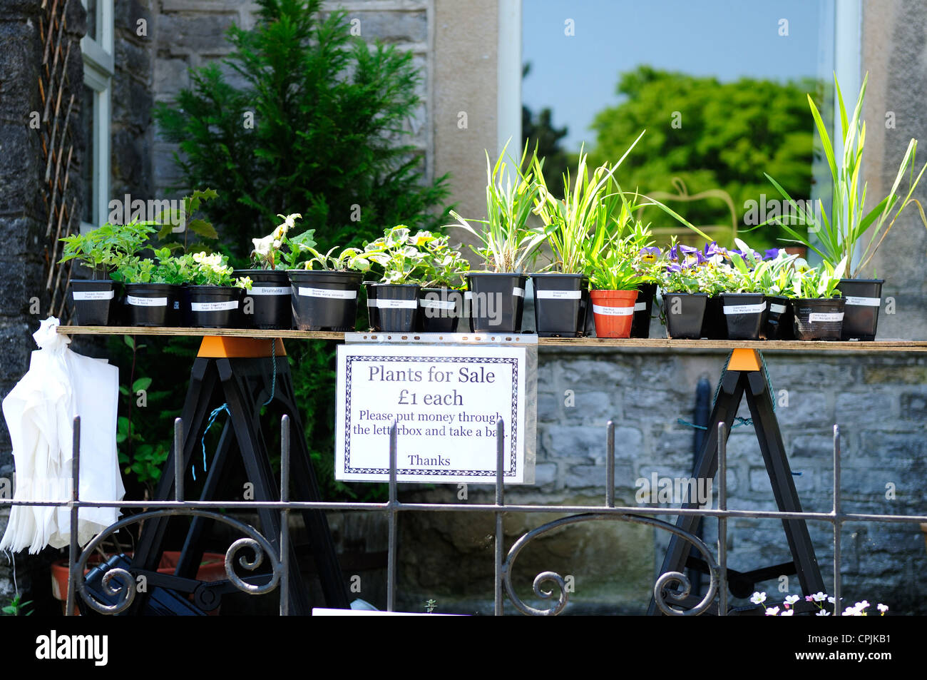 Plant Sale front garden of private home. Castleton Derbyshire Stock ...
