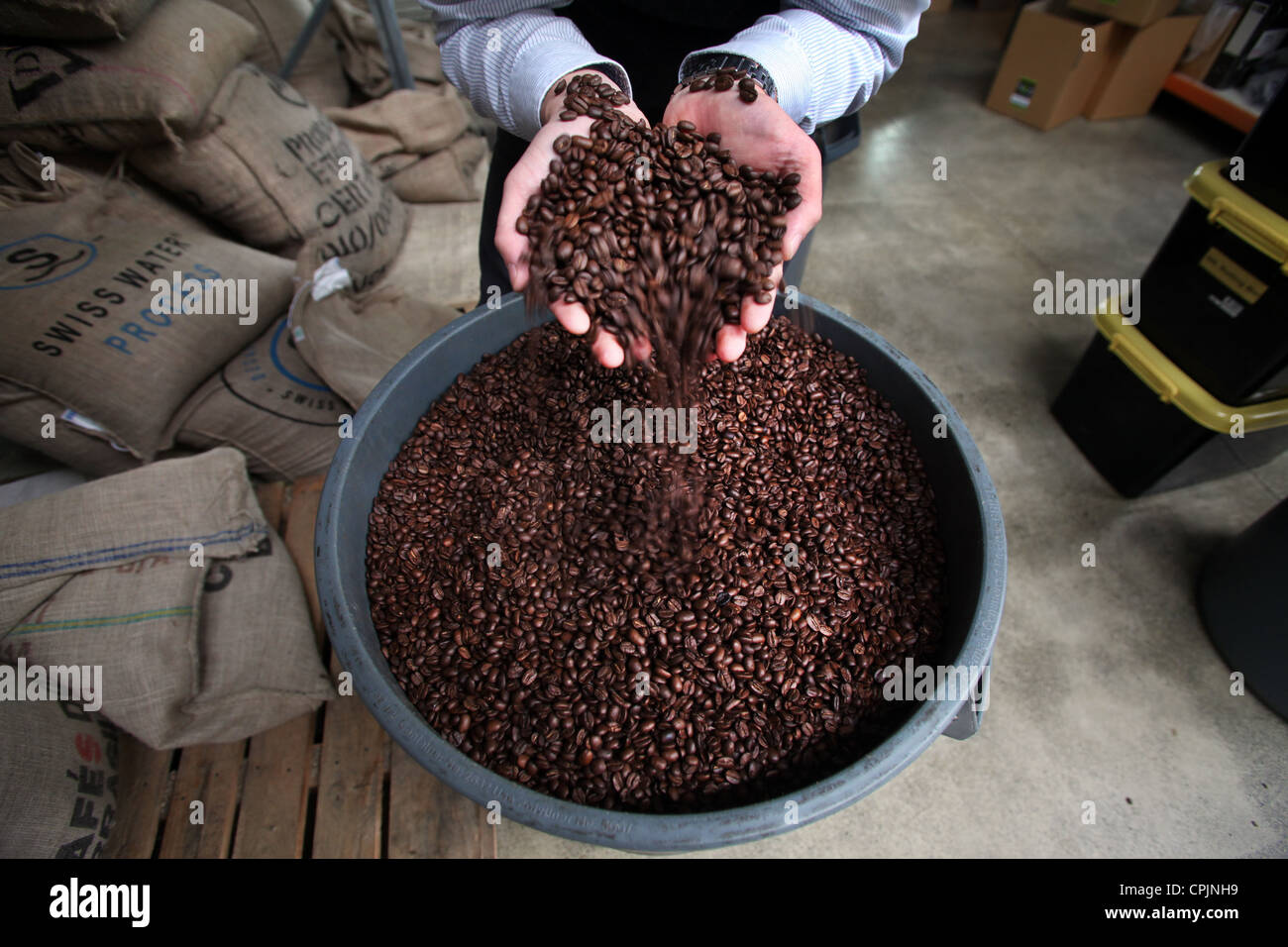 Hayden Thompson of Nelson roasters Pomeroy's with coffee beans, New