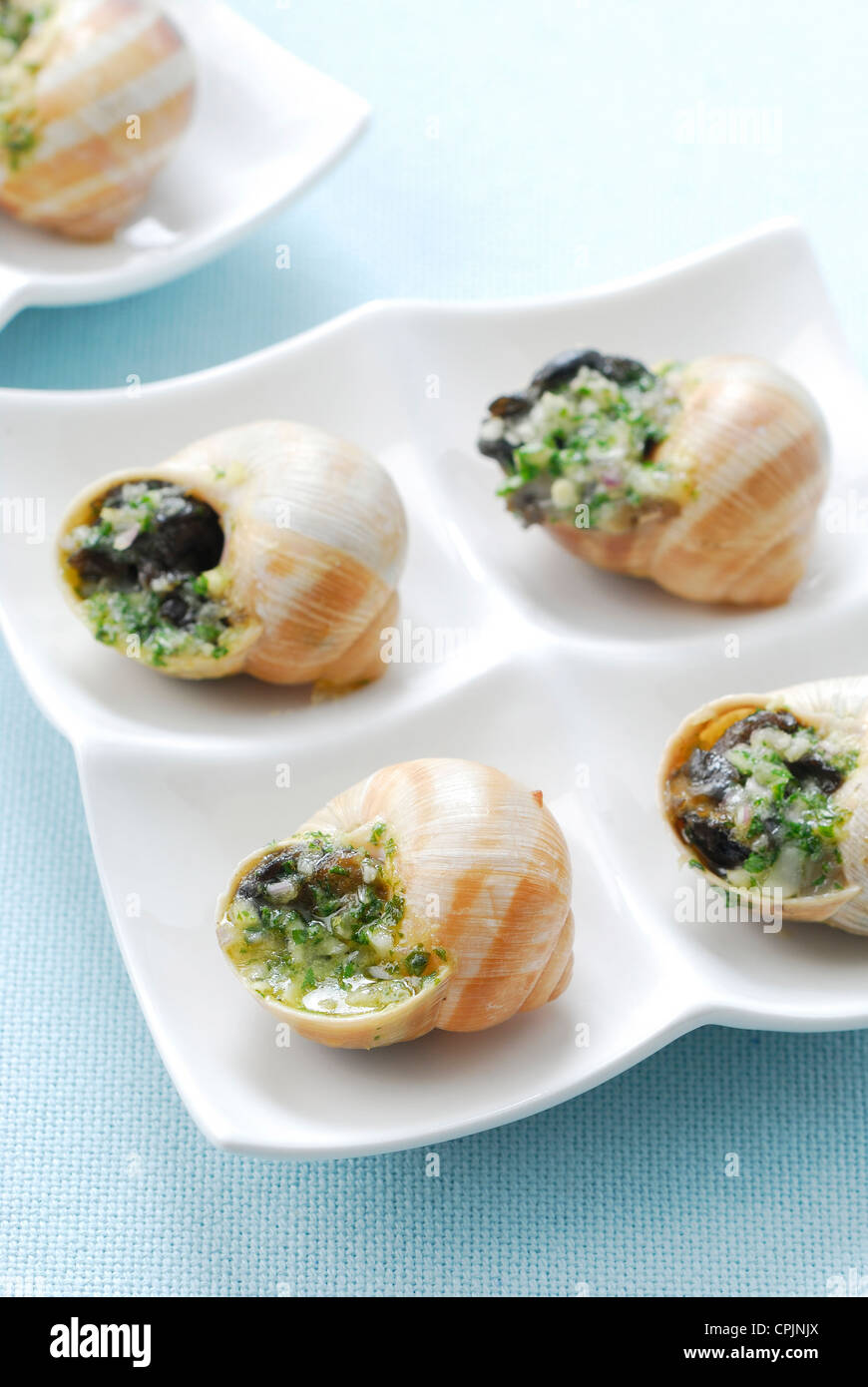 Snails with garlic sauce Stock Photo Alamy