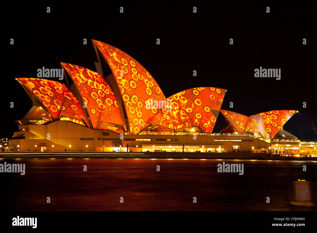Night view of Australia Sydney Opera House cityscape with colorful lights  during Vivid Stock Photo - Alamy