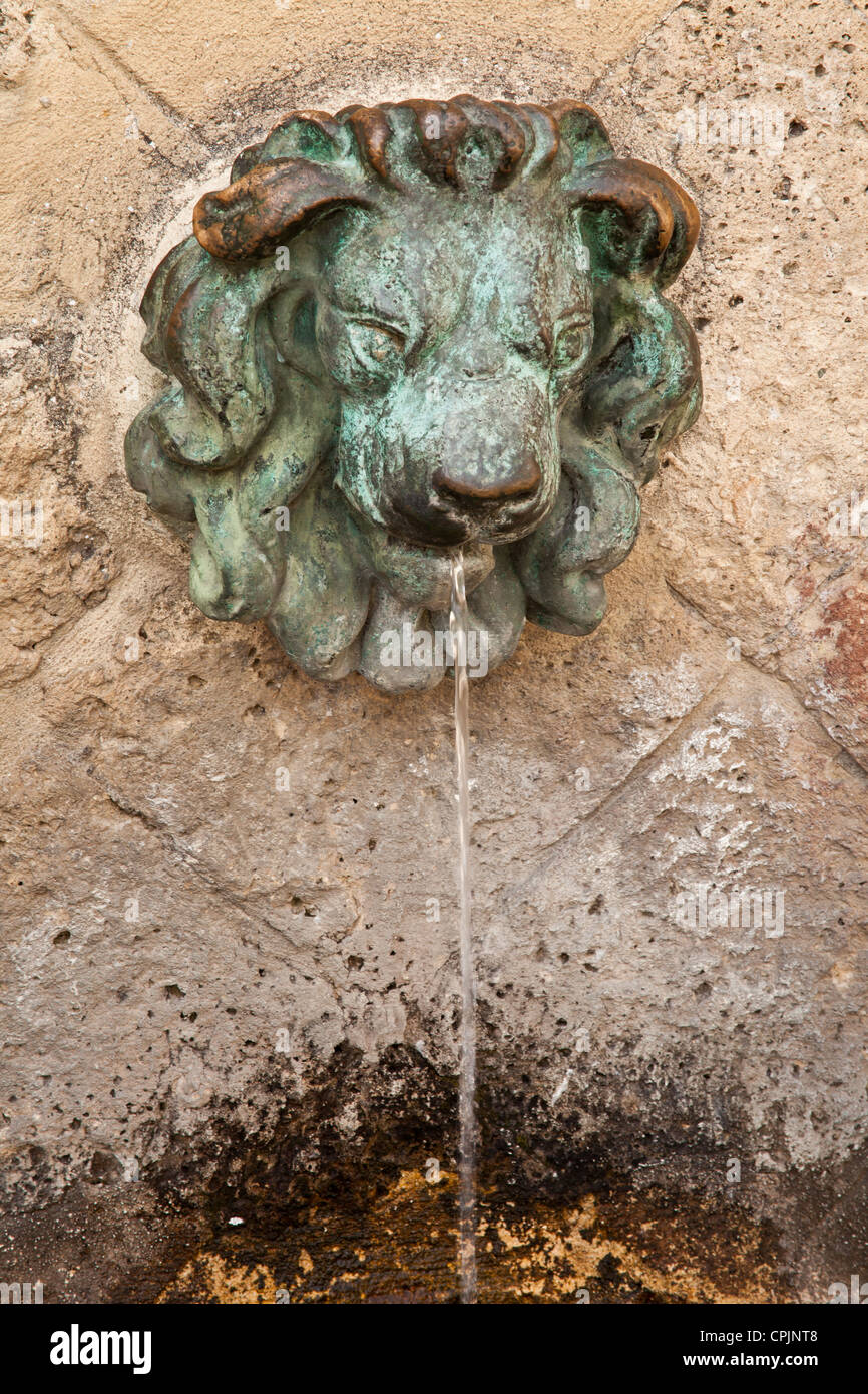 Fountain with lion Stock Photo - Alamy