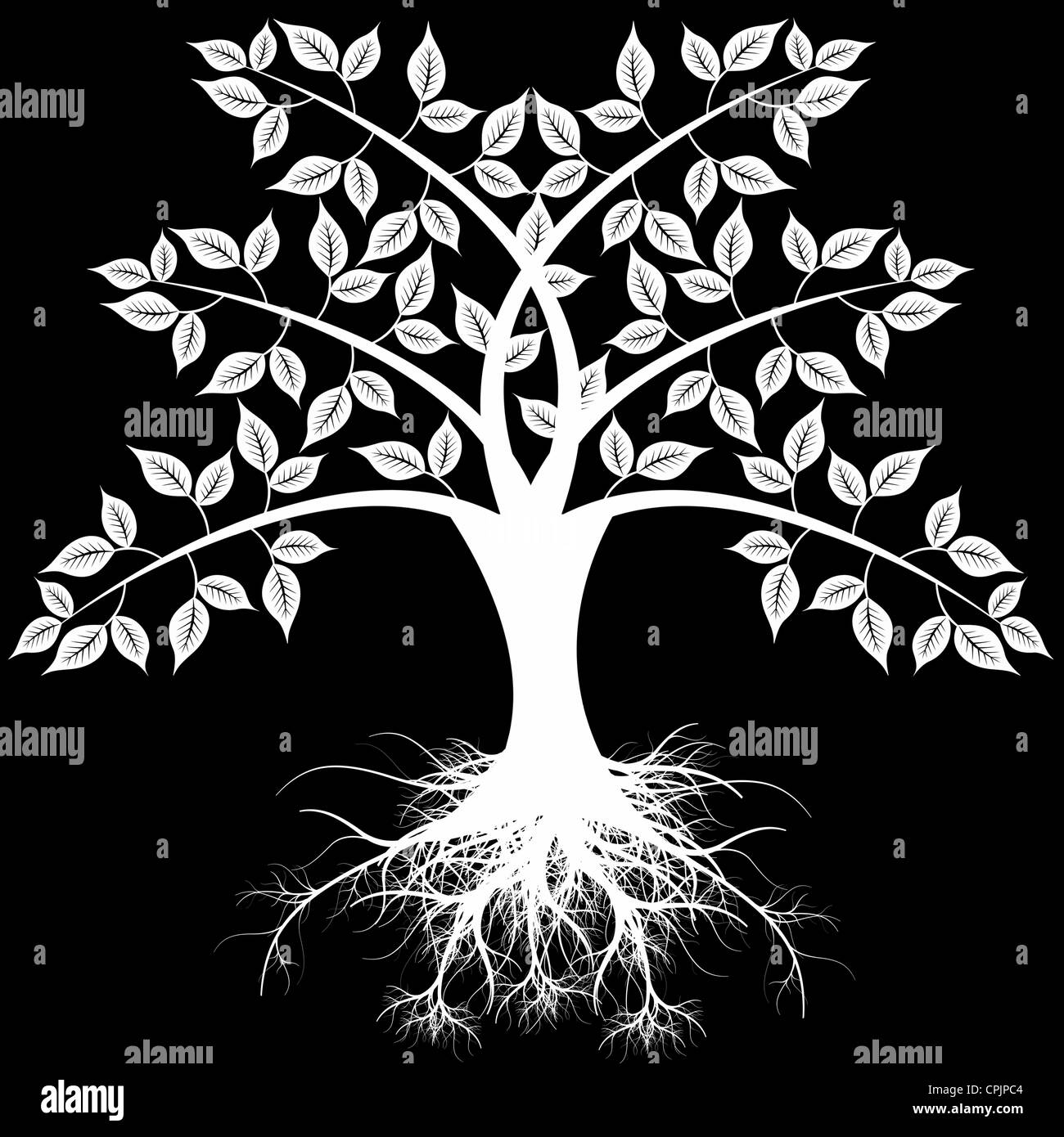 Beautiful art tree isolated on black background Stock Photo - Alamy