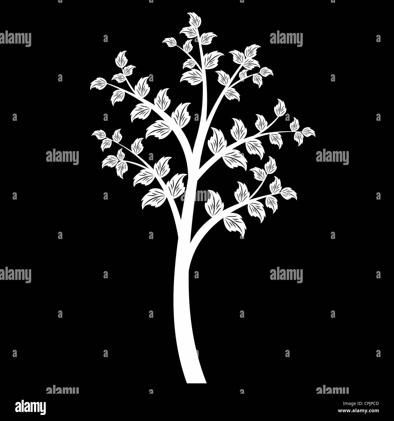 Beautiful art tree isolated on black background Stock Photo Alamy