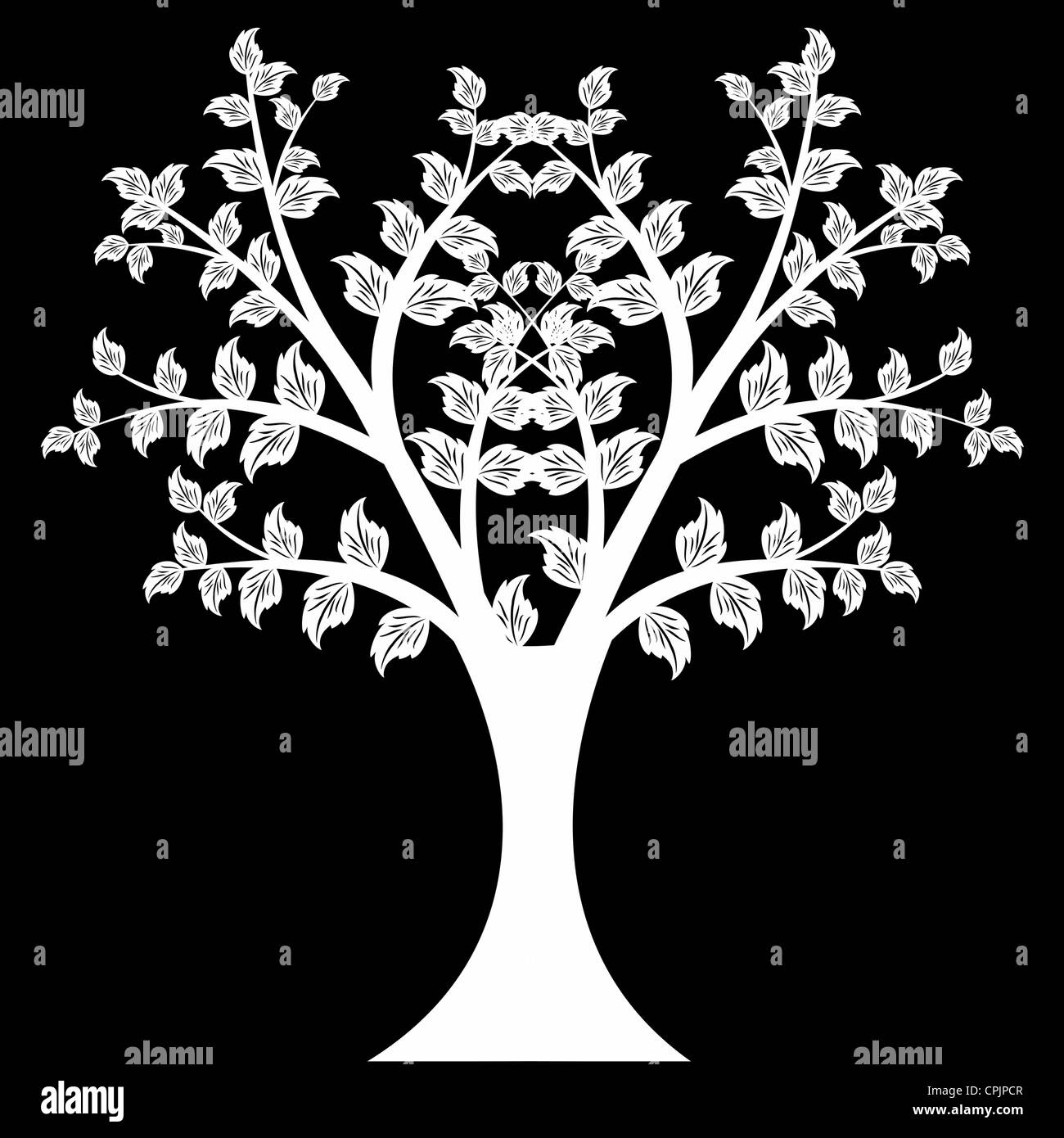 Beautiful art tree isolated on black background Stock Photo - Alamy