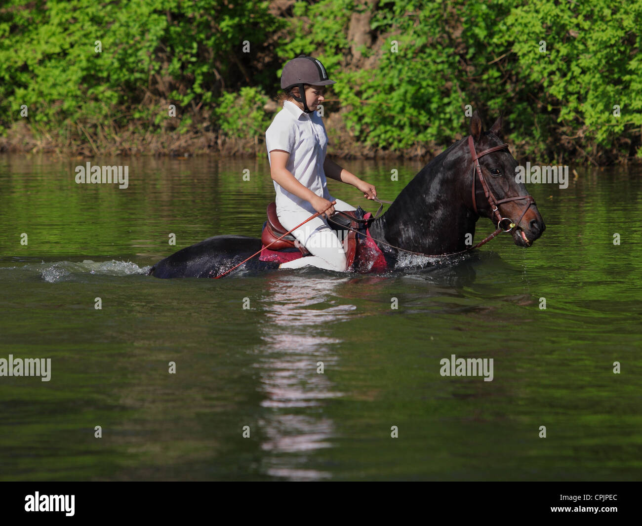 Equestrian girl and Horse float in River Stock Photo