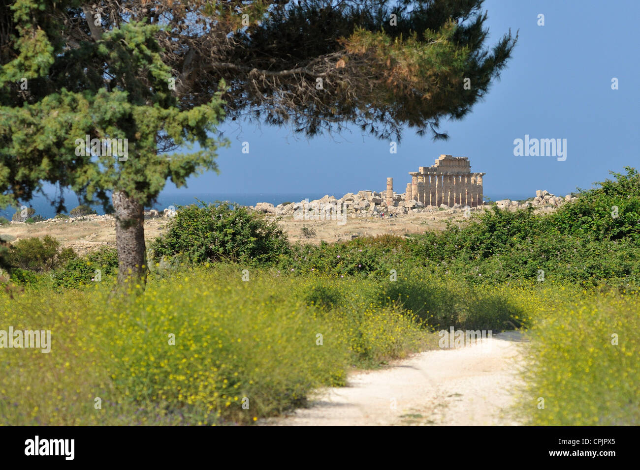 Selinunte. Sicily. Italy. Temple C amidst the ruins of the acropolis. Stock Photo