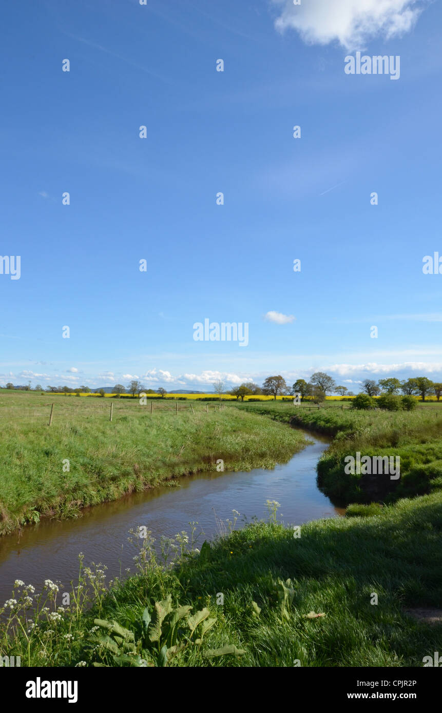 The river Gowy cutting through the countryside, Cheshire Stock Photo