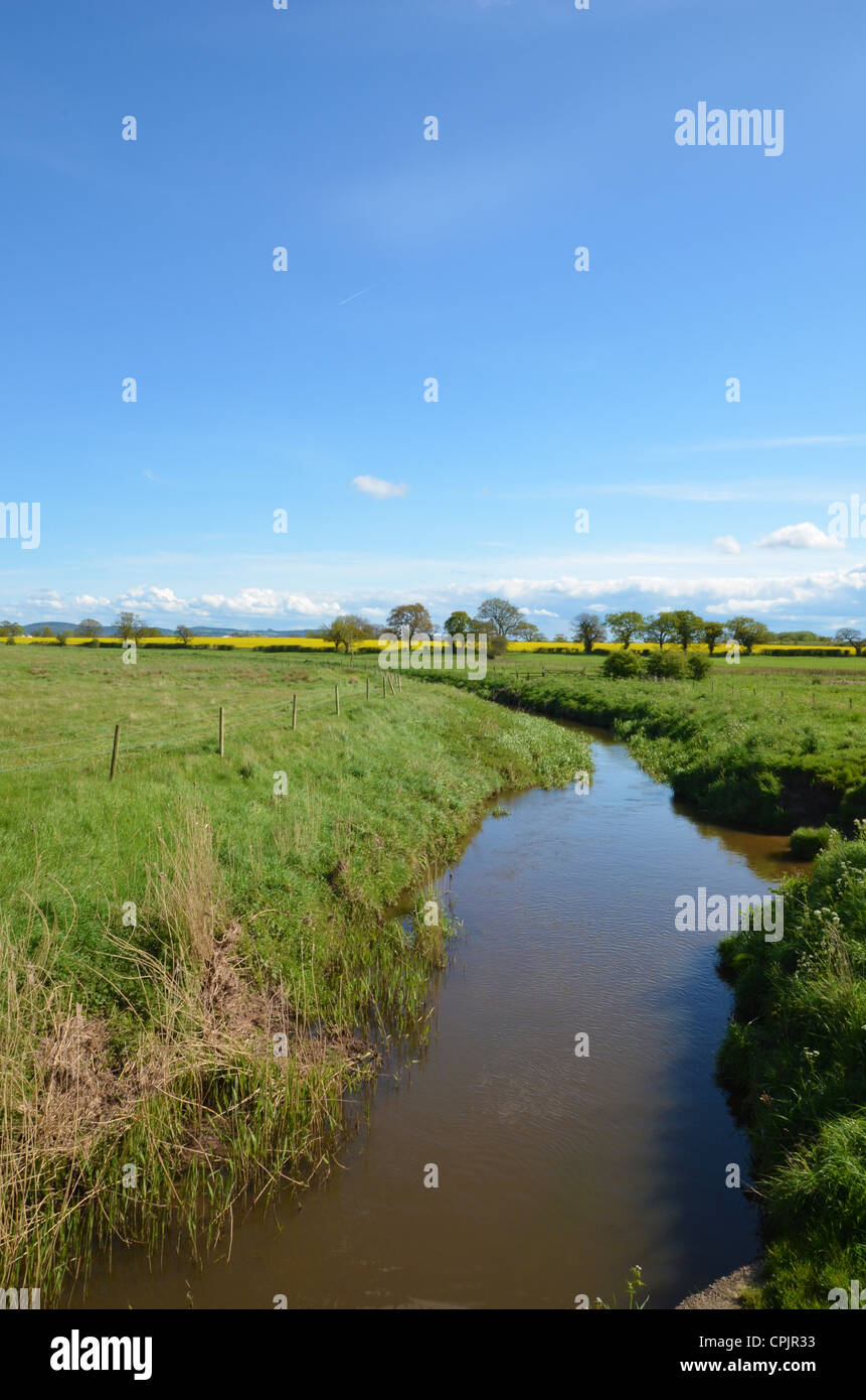 The river Gowy cutting through the countryside, Cheshire Stock Photo