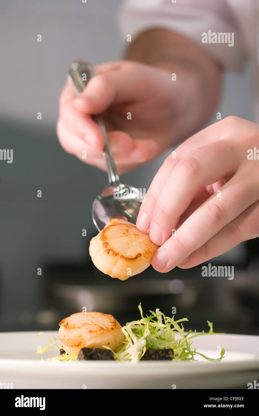 Chef preparation scallops restaurant hires stock photography and
