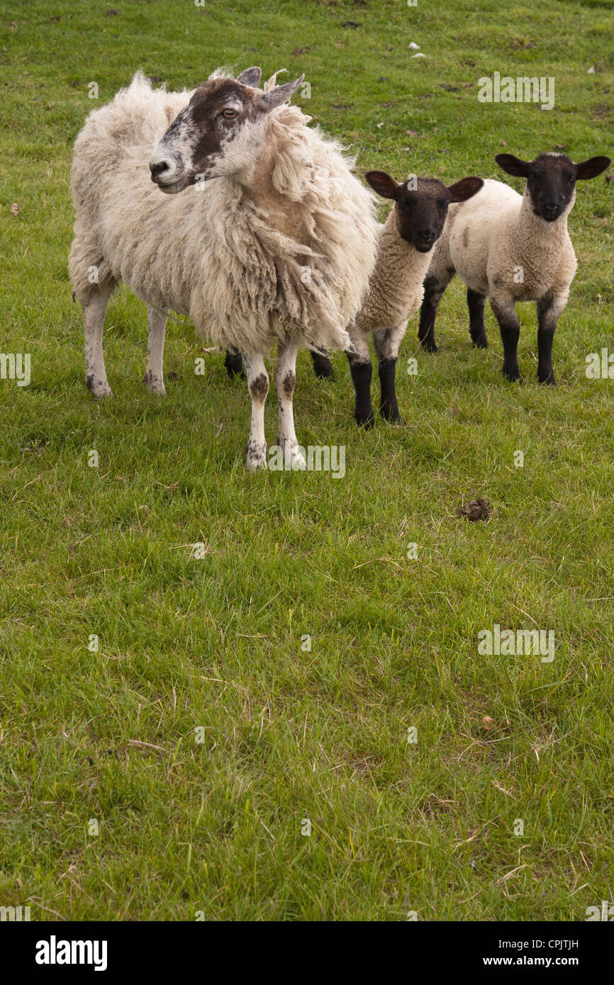 An image taken at Boscobel House, Shropshire, where King Charles II hid