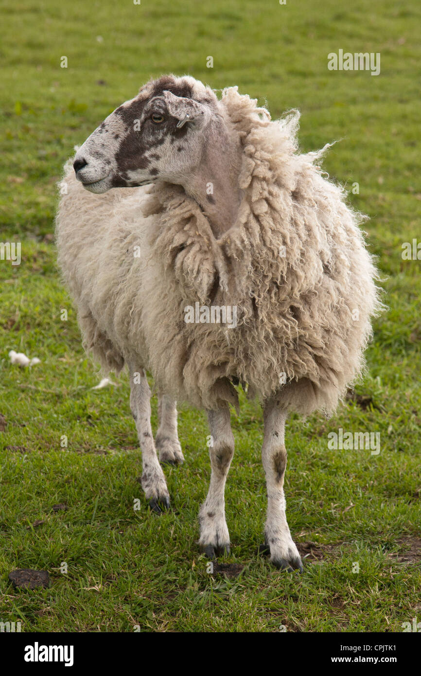 An image taken at Boscobel House, Shropshire, where King Charles II hid