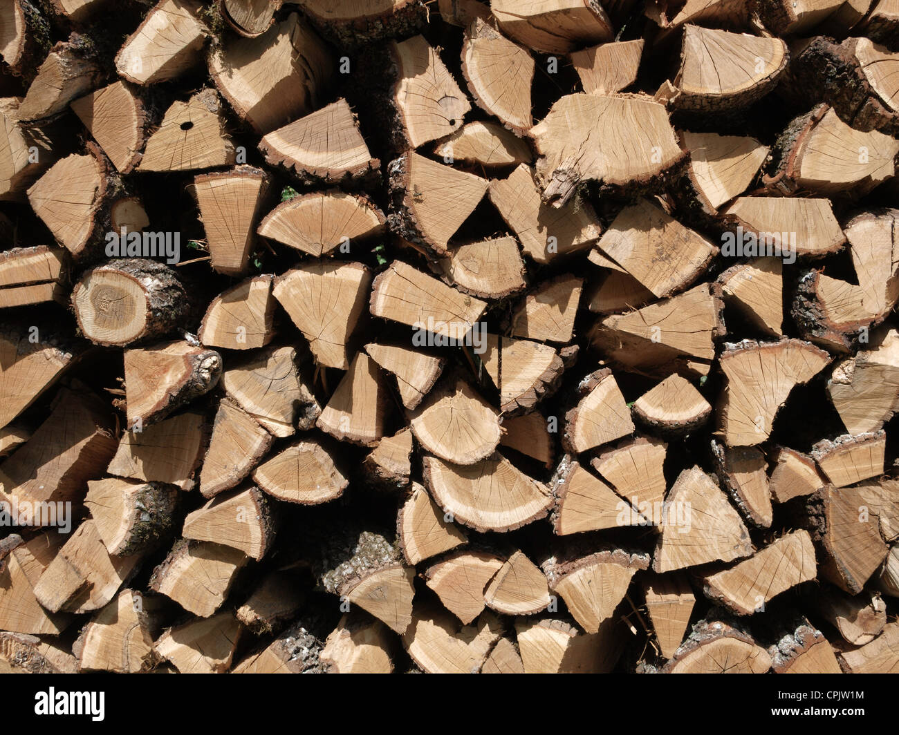 An organized pile of firewoods Stock Photo