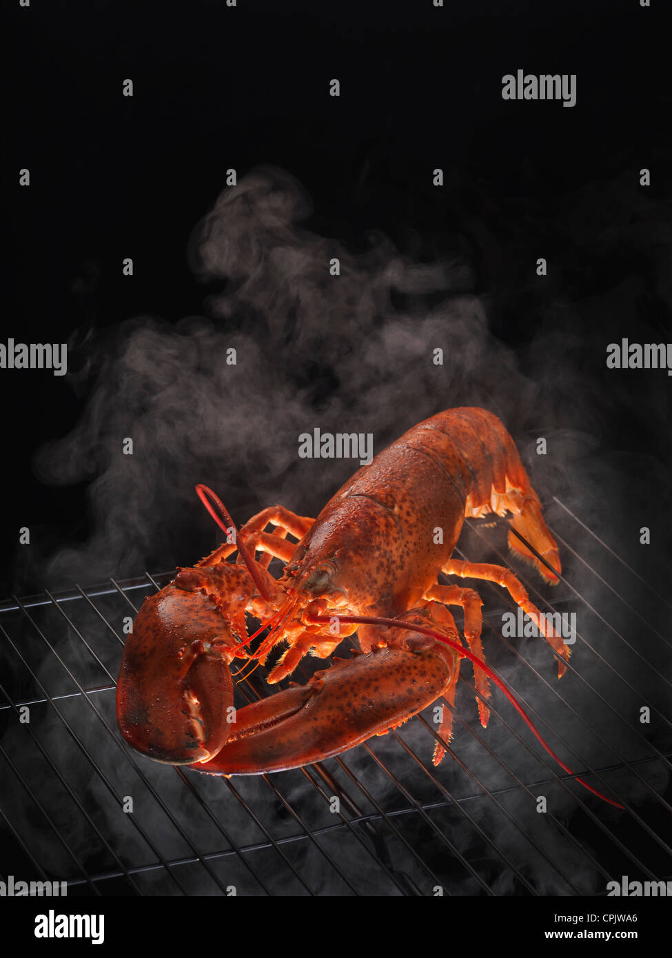 Steaming red hot lobster hires stock photography and images Alamy