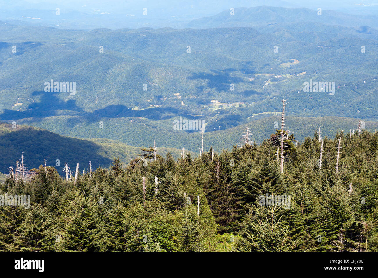 View of the Blue Ridge Mountains, North Carolina, from the top of Mount Mitchell. Part of Blue Ridge Parkway is visible. Stock Photo