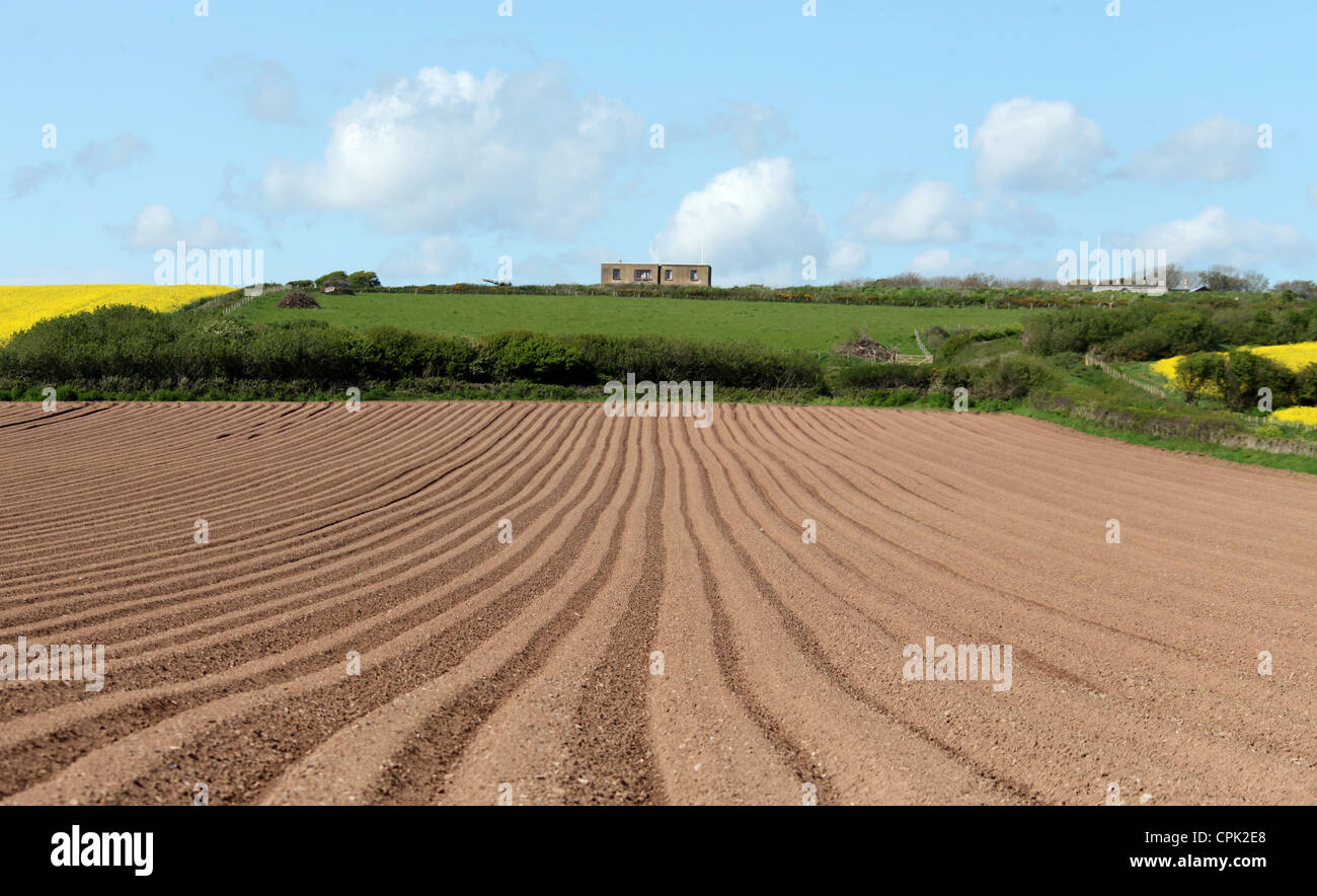 Agricultural Land below Chapel Bay Fort in Pembrokeshire Stock Photo