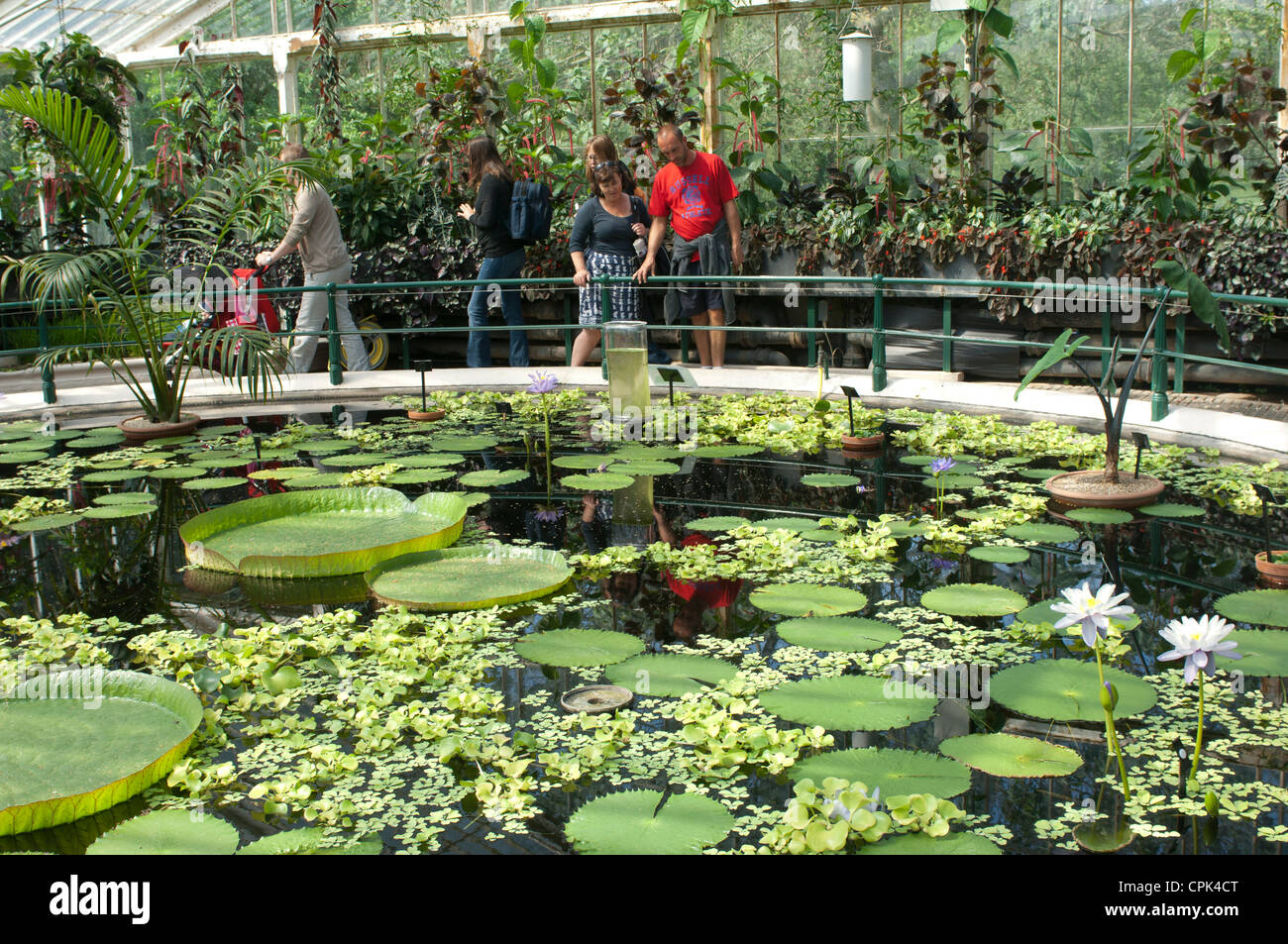 The Waterlily House Royal Botanic Gardens Kew London Gb Stock