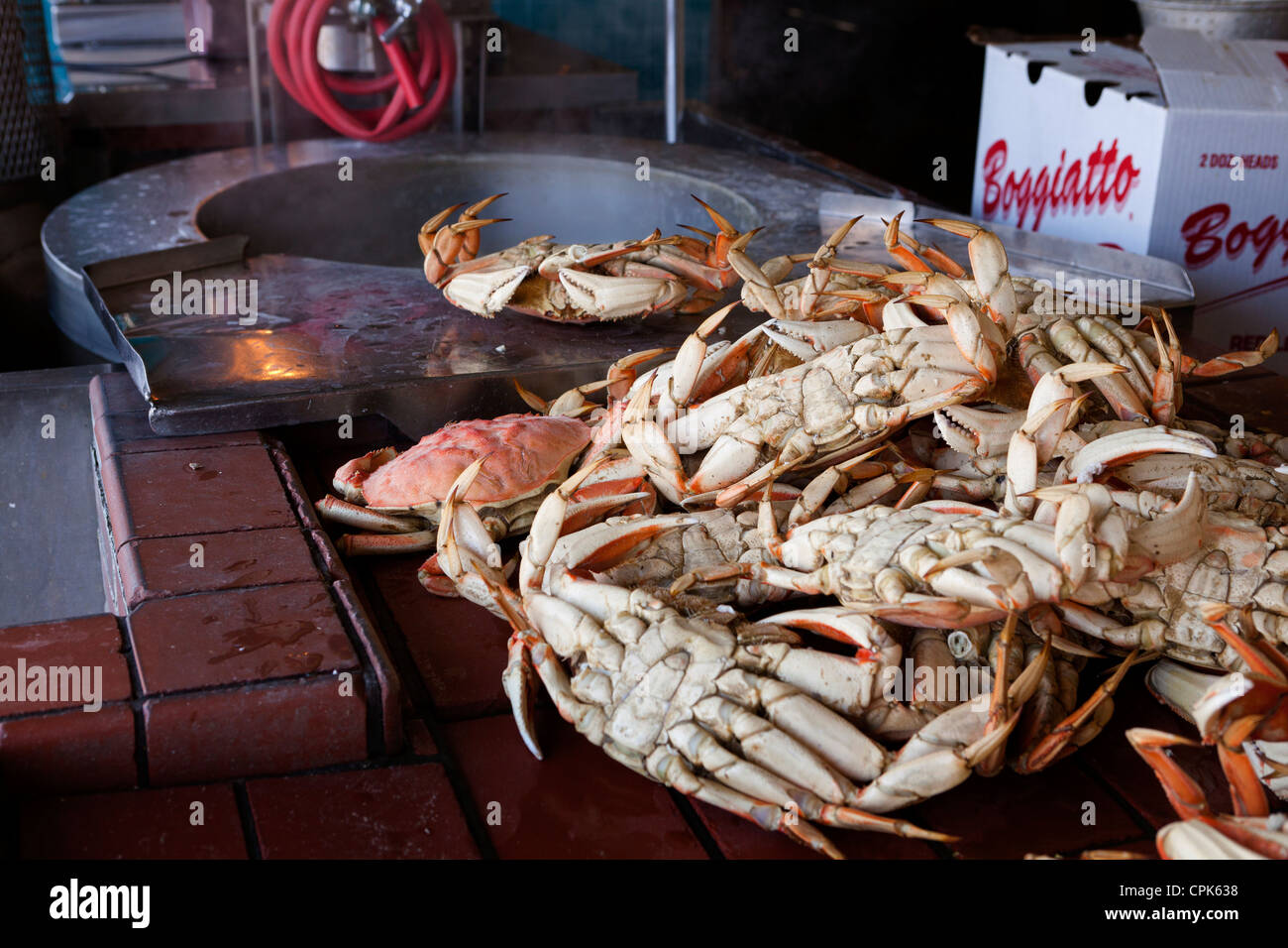 Steamed Dungeness crabs Stock Photo